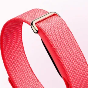 Google Fitbit Air Berry