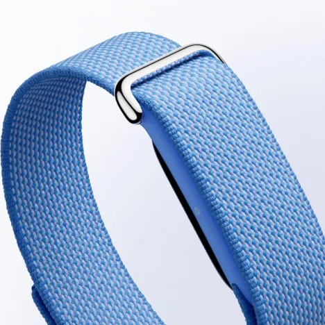 Google Fitbit Air Berry
