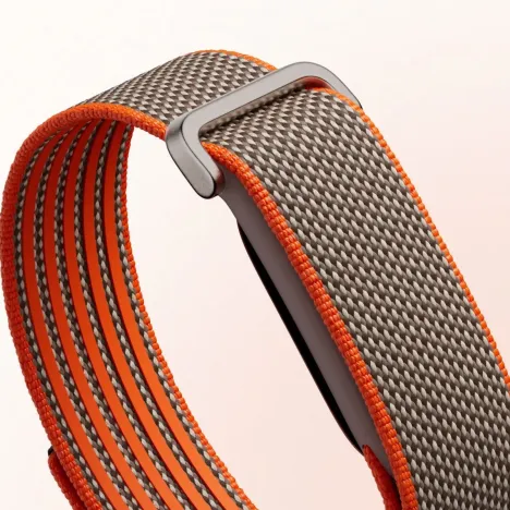 Google Fitbit Air Berry