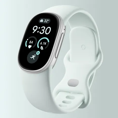 Google Fitbit Edge Fog