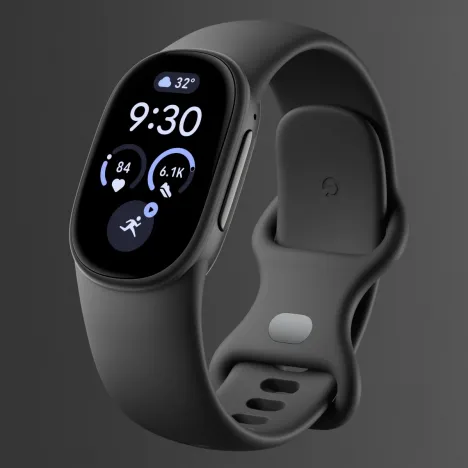 Google Fitbit Edge Fog