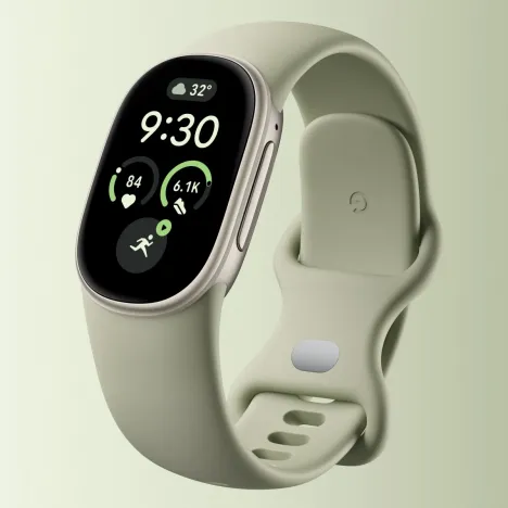 Google Fitbit Edge Fog